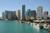 negocios-miami-florida